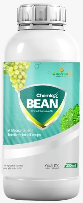 Chemlox BEAN
